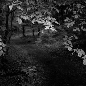 P1060875akleinsw