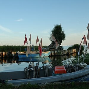 (c)K.R. 540DSC 1268