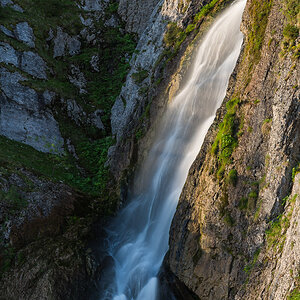 Gürbefall2