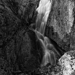 Gürbefall3
