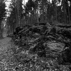 P1060715aklein