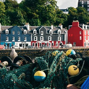 comp Schottland 2017     (47)