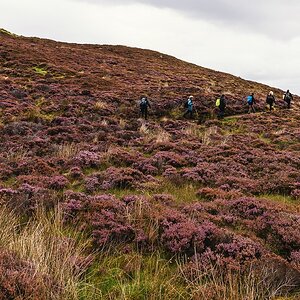 comp Schottland 2017     (120)