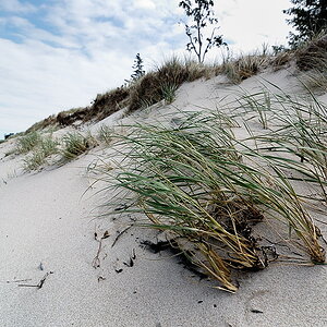 20090614 14 Strand