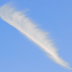 Feder oder Wolke
