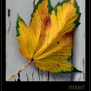Herbst
