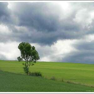 DSCN1885