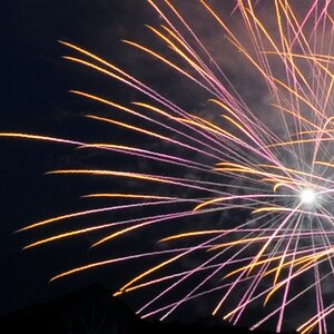 Feuerwerkcrop