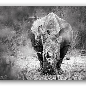 03K 0457 Rahmen BW