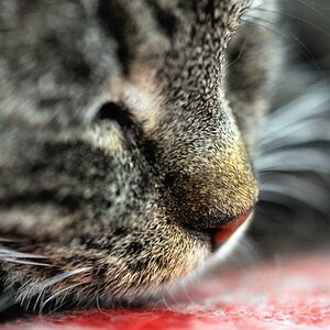 2013 04 20 5525 D 300S A