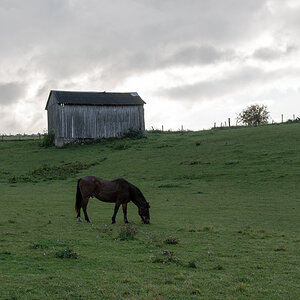 Hütte