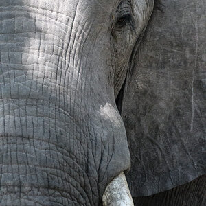 Botswana 2018 SPE 7074