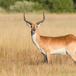 Botswana 2018 SPE 7535
