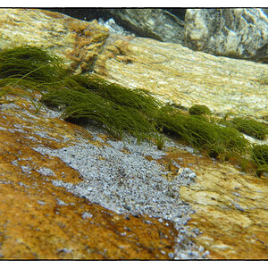 Tessin4