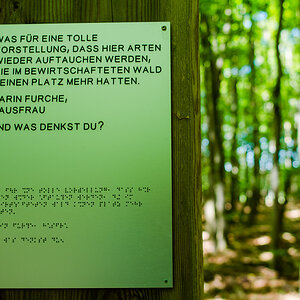 Spruch