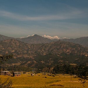 Nepal  (4)