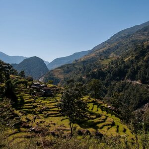 Nepal  (18)