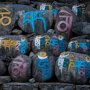 Nepal  (39)