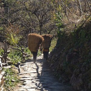 Nepal  (42)