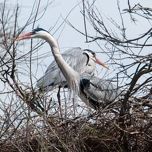 DSC 3839 Bearbeitet