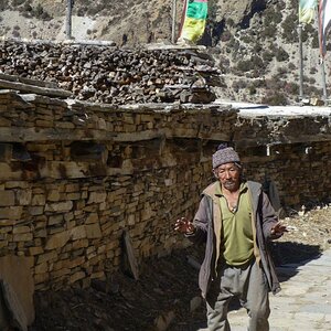 Nepal  (71)