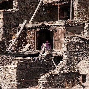 Nepal  (73)
