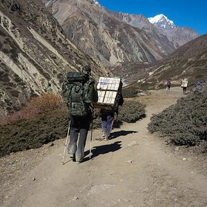 Nepal  (92)