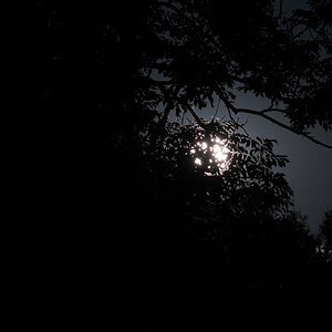 DSC 0040 1