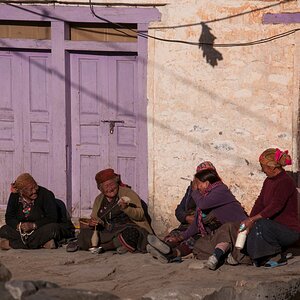 Nepal  (116)