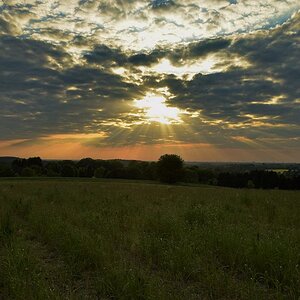 DSC 0228a