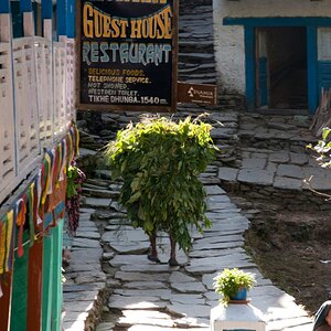 Nepal  (130)