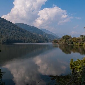 Nepal  (131)