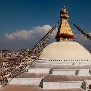 Nepal  (142)