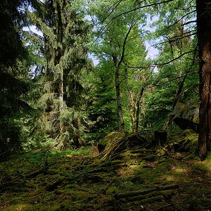 P1060817aklein