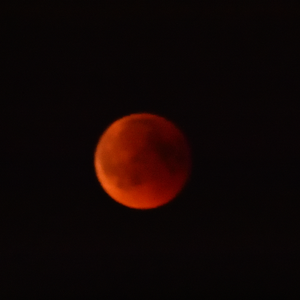 blutmond 00001 04