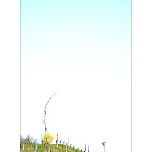 MorgenPZ1 6052