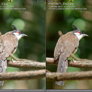 Screenshot (25)