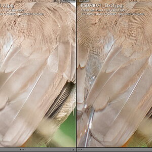 Screenshot (27)