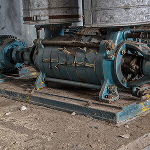 DSC 5549