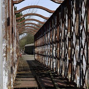 DSC0011 00010