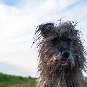 BadHairDay 2