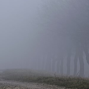 Verloren im Nebel