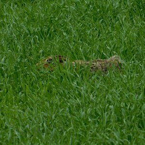DSCN3048 20180429 172958 007