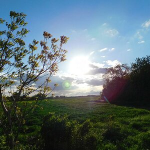 DSCN3161 20180430 191109 011