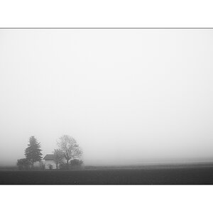 MorgenPZ1 6599
