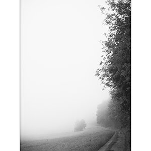 MorgenPZ1 6602