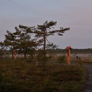 DSC 9206