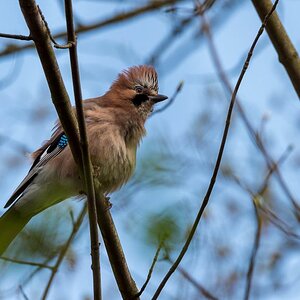 20180411 DSC 3629