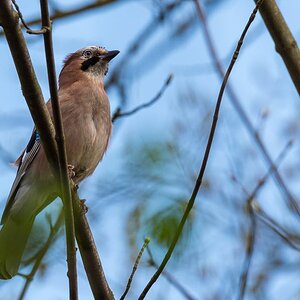 20180411 DSC 3633