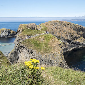 Rope bridge Carrick a Rede1
